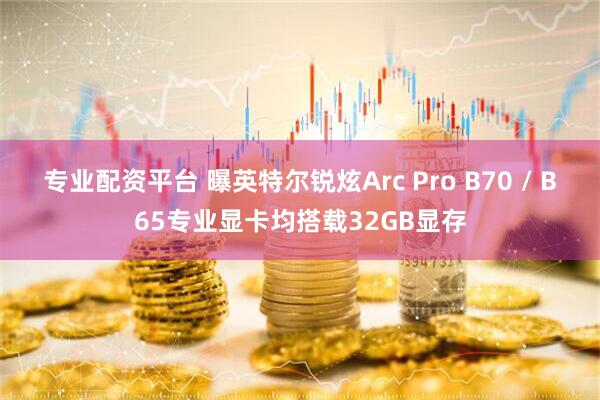 专业配资平台 曝英特尔锐炫Arc Pro B70 / B65专业显卡均搭载32GB显存